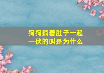 狗狗躺着肚子一起一伏的叫是为什么