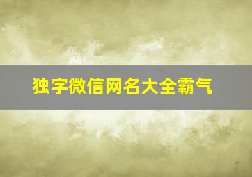 独字微信网名大全霸气