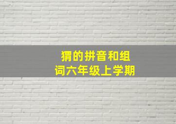 猬的拼音和组词六年级上学期