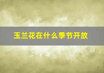 玉兰花在什么季节开放