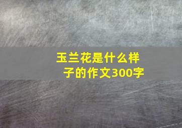 玉兰花是什么样子的作文300字