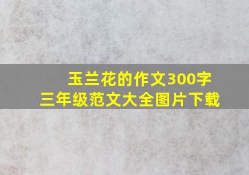 玉兰花的作文300字三年级范文大全图片下载