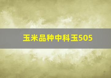 玉米品种中科玉505