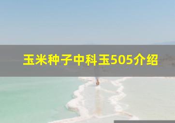 玉米种子中科玉505介绍