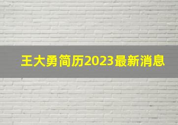 王大勇简历2023最新消息