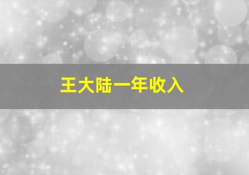 王大陆一年收入