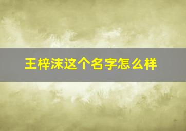 王梓沫这个名字怎么样