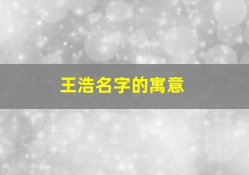 王浩名字的寓意