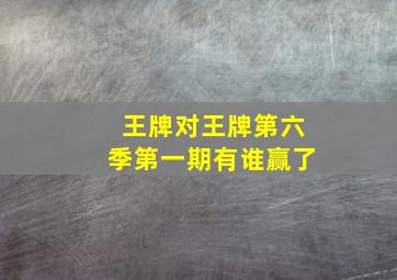 王牌对王牌第六季第一期有谁赢了