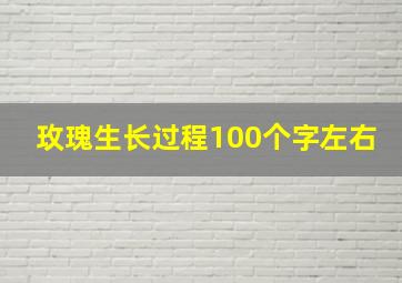 玫瑰生长过程100个字左右