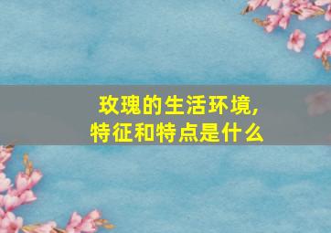 玫瑰的生活环境,特征和特点是什么