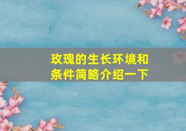 玫瑰的生长环境和条件简略介绍一下