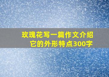 玫瑰花写一篇作文介绍它的外形特点300字