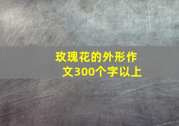 玫瑰花的外形作文300个字以上