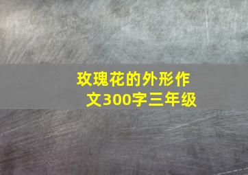 玫瑰花的外形作文300字三年级