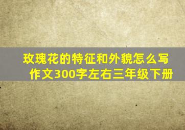 玫瑰花的特征和外貌怎么写作文300字左右三年级下册