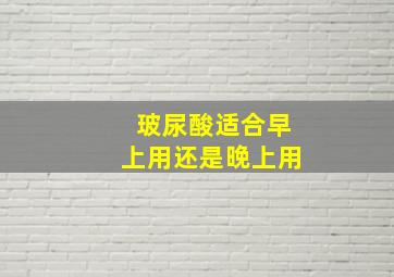 玻尿酸适合早上用还是晚上用