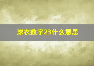 球衣数字23什么意思