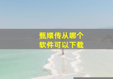 甄嬛传从哪个软件可以下载