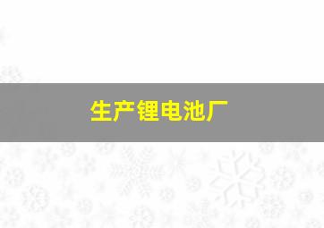 生产锂电池厂