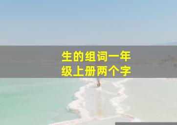 生的组词一年级上册两个字