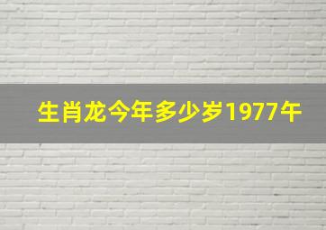 生肖龙今年多少岁1977午