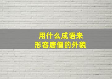 用什么成语来形容唐僧的外貌