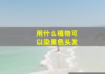 用什么植物可以染黑色头发