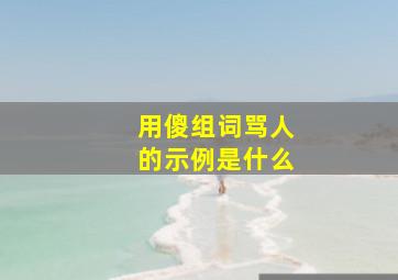 用傻组词骂人的示例是什么