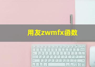 用友zwmfx函数