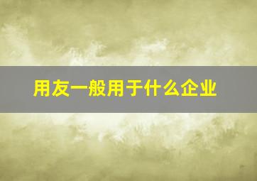 用友一般用于什么企业