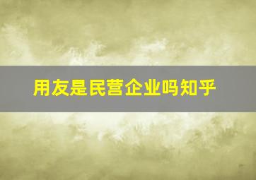 用友是民营企业吗知乎