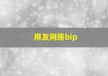 用友网络bip