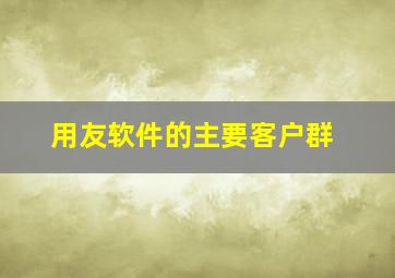 用友软件的主要客户群