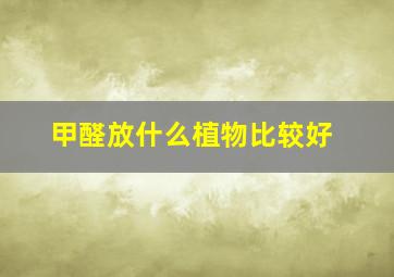 甲醛放什么植物比较好