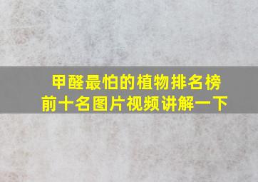 甲醛最怕的植物排名榜前十名图片视频讲解一下