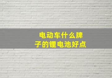 电动车什么牌子的锂电池好点