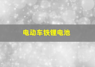 电动车铁锂电池