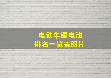 电动车锂电池排名一览表图片