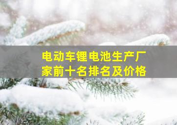 电动车锂电池生产厂家前十名排名及价格