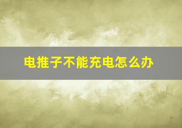 电推子不能充电怎么办