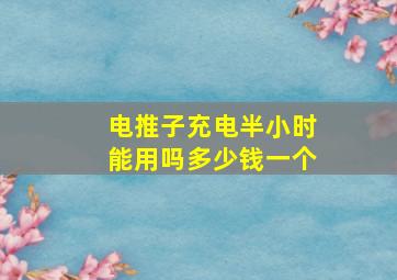 电推子充电半小时能用吗多少钱一个