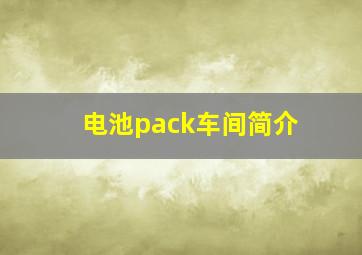 电池pack车间简介