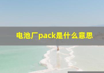 电池厂pack是什么意思