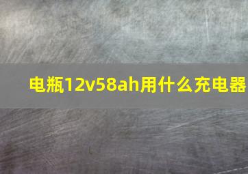 电瓶12v58ah用什么充电器