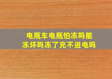 电瓶车电瓶怕冻吗能冻坏吗冻了充不进电吗