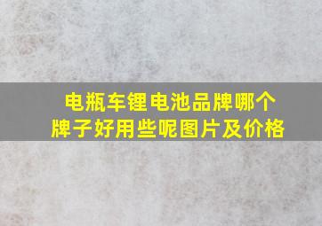 电瓶车锂电池品牌哪个牌子好用些呢图片及价格