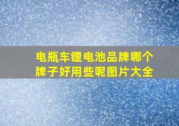 电瓶车锂电池品牌哪个牌子好用些呢图片大全