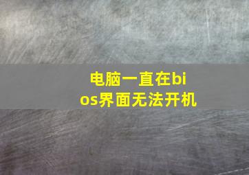 电脑一直在bios界面无法开机