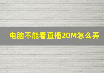 电脑不能看直播20M怎么弄